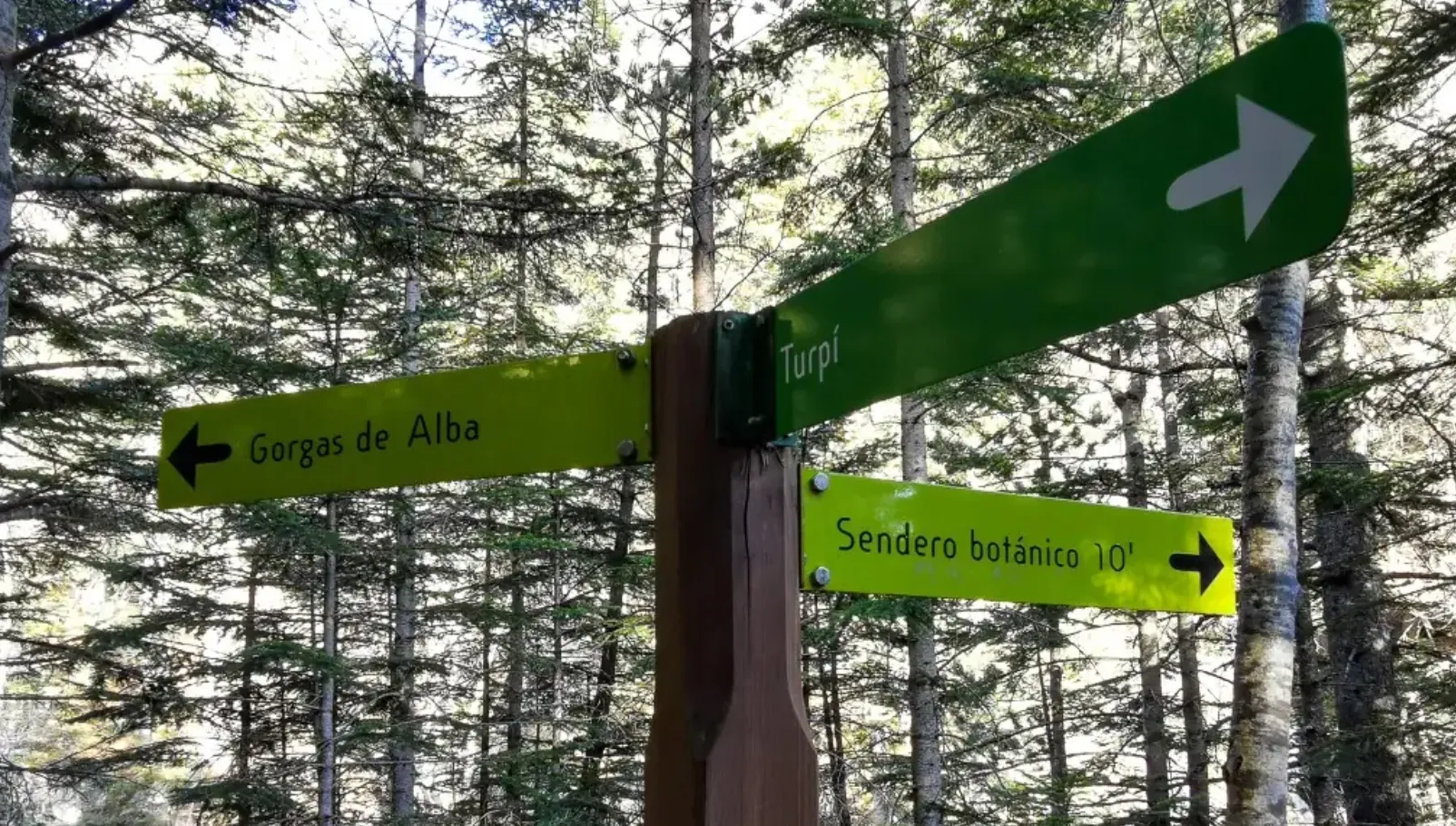 Poste indicador de madera en el pinar, con flechas hacia las Gorgas de Alba, el Sendero Botánico y el Turpí